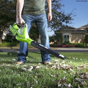 Cordless electric leaf blower