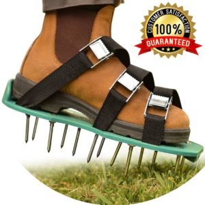 lawn aerator shoes -Winter Lawn 